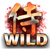 Wild图案